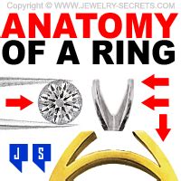 anatomy   ring jewelry secrets