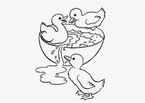 baby ducks coloring pages  print  coloring pages  coloring