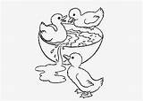 Coloring Baby Pages Print Ducks Kids Books sketch template