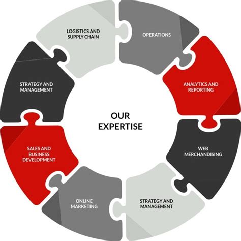 expertise chart bayside search group