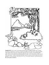 Coloring Pages Creation Bible Genesis Day3 Kids Story Third Book Activities Chapter sketch template