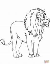 Leone Disegnare Animali Leoni Stampabili Feroci Savana Pagine sketch template