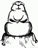 Groundhog Woodchuck Coloring sketch template