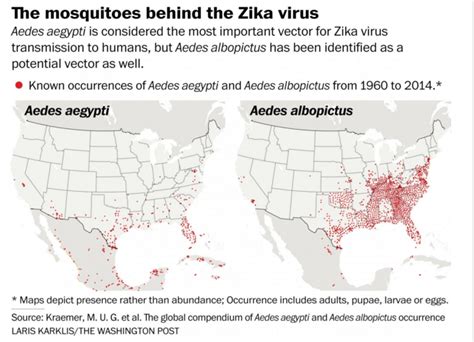 multiple zika cases reported in us first sexually transmitted case