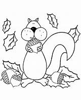 Coloring Squirrel Acorn Autumn Colouring Topcoloringpages Holding sketch template