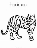 Tiger Coloring Worksheet Stripes Harimau Drawing Has Lsu Sheet Print Tracing Pages Outline Book Animals Gung Hay Choy Fat Twisty sketch template