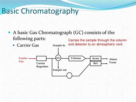 gas chromatograph analyzer