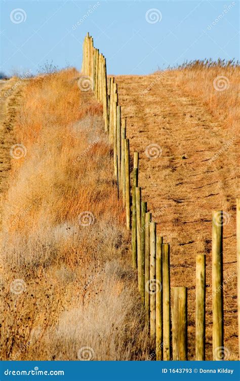 fence  stock image image  grass winter season
