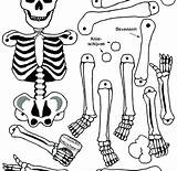 Coloring Skeleton Pages Body Human Bone Bones Systems System Kids Parts Printable Muscular Color Preschoolers Getcolorings Anatomy Getdrawings Colorings Print sketch template