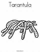 Coloring Tarantula Spider Web Worksheet Pages Noodle Color Twistynoodle Eensy Weensy Built California Usa Twisty Getcolorings Printable Change Font sketch template