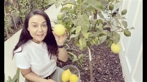 Preity Zinta Is Rightfully Proud Of Her Homegrown Lemons In This Cute