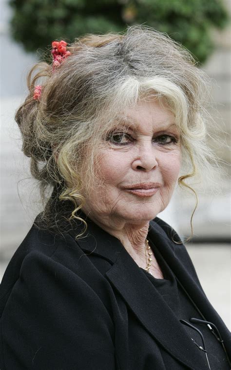 brigitte bardot ritkan latott kepek  ma  eves vegzet asszonyarol