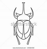 Coloring Beetle Rhinoceros Designlooter 25kb 470px European Icon sketch template