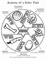 Passover Seder Plate Drawing Coloring Pesach Paintingvalley Printable Teacherspayteachers Choose Board Pages sketch template