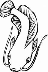 Pesce Catfish Gatto Disegno Dall Alto Ryby Kolorowanki Rybki Kolorowanka Pesci Clipartmag Animali sketch template