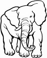 Colorear Elefantes Elefante Anipedia sketch template
