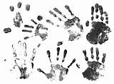 Hand Photoshop Brush Prints Brushes 123freebrushes Favourites Add sketch template