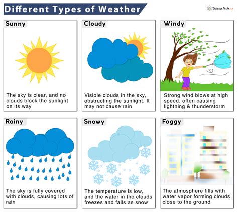 types  weather