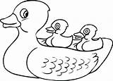 Duck Rubber Drawing Ducky Outline Coloring Pages Ernie Bert Baby Printable Cessna Getdrawings Daisy Color Highest Donald Getcolorings Clipart Clipartmag sketch template