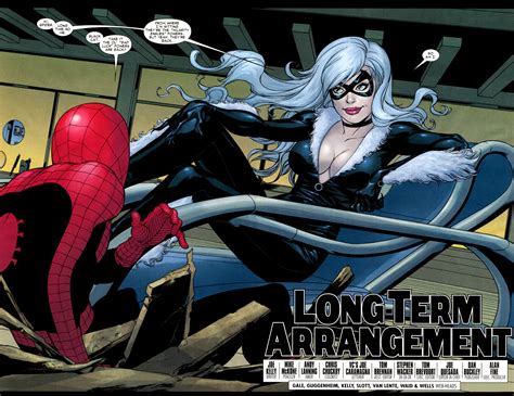 sony s silver sable and the black cat movie lands director