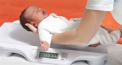 groeicurve van je baby na de geboorte ontwikkeling lengte en gewicht