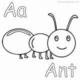 Ant Ants Coloringfolder Atom sketch template