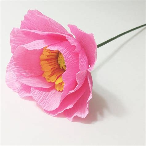 crepe paper poppy light pink crepe paper flower paper flower bouquet