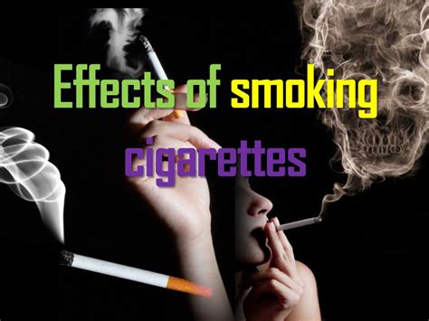 Ppt Effects Of Smoking Cigarettes Powerpoint Presentation Free