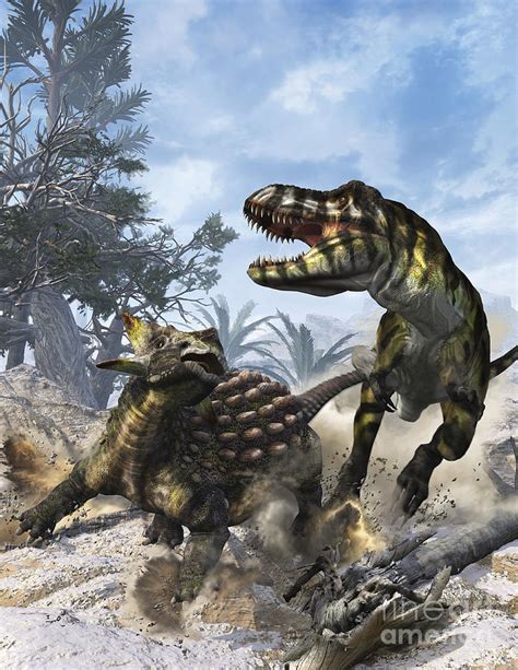 Ankylosaurus Hits Tyrannosaurus Rex Digital Art By Kurt Miller