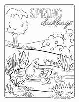 Coloring Spring Pages Duckling Duck Mother Sheet Easy Pond Printable Cute sketch template