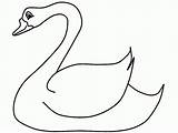 Angsa Gambar Mewarnai Bebek Diwarnai Putih Hitam Binatang Sketsa Paud Hewan Ovipar Aneka Belajar Lucu Burung Warna sketch template