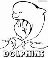 Dolphin Baby Coloring Pages Animal Colorings Coloringway sketch template