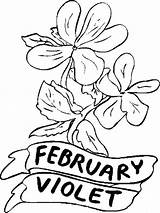 Coloring Pages February Violet Sheets Color Flower Flowers Print Printable Month Kids Fun Coloringpages101 Birth Getcolorings Popular sketch template