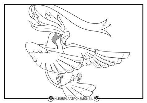 pidgeot kleurplaten gratis printen kleurplaat pokemon