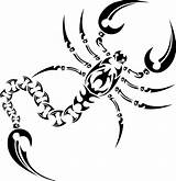 Tribal Scorpion Tattoo Drawing Outline Scorpions Cool Designs Getdrawings sketch template