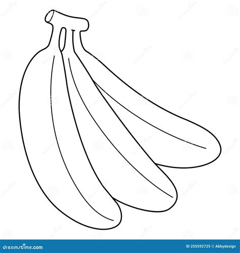banana fruit isolated coloring page  kids stock vector