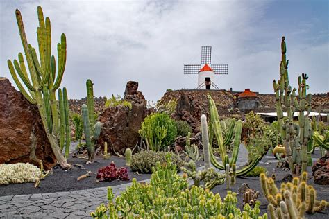 jardin de cactus cactus garden lanzarote villa choice