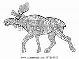 Elk Coloring Adults Drawing Vector Antistress Decorative Pattern Therapy Zentangle Doodle Shutterstock Ethnic Patterned Search sketch template