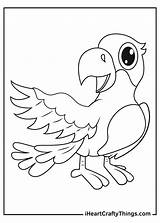 Parrots Iheartcraftythings sketch template