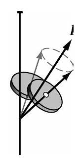 Nutation Gyroscope Precession sketch template