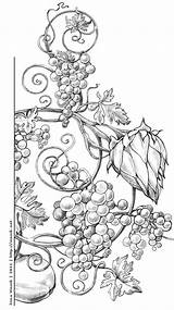 Grape Repujado Irina Vinnik Absolut Brandmalerei Vines Vigne Vorlagen Raisins Grapevine Coin Grapes Tegninger Vindruer sketch template