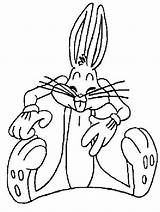 Coloring Pages Bunny Bugs Outline sketch template