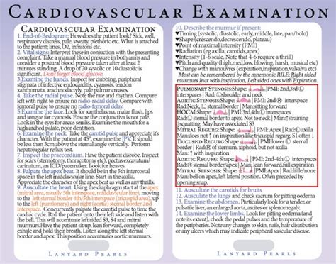 medical nursing reference cards cardiovascular  lanyardpearls