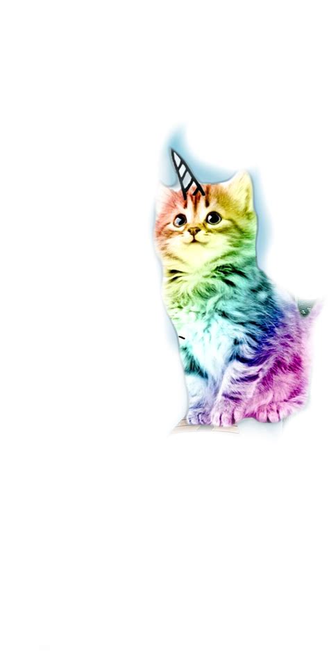 kitty kitten cat unicorn sticker  atjustellacat