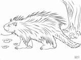 Porcupine Coloringbay sketch template