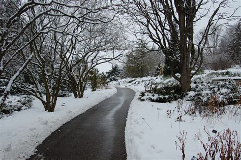 bit  snow    minnesota landscape arboretum