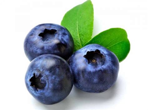 9 Amazing Benefits Of Blueberries Organic Facts