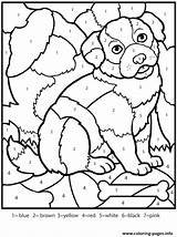 Dog Coloring Adult Numbers Color Worksheets Pages Printable Print Online sketch template