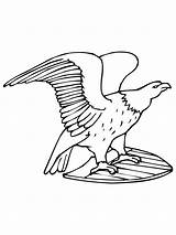 Eagle Bald Coloring Pages Kids Printable sketch template