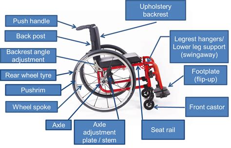 wheelchair anatomy